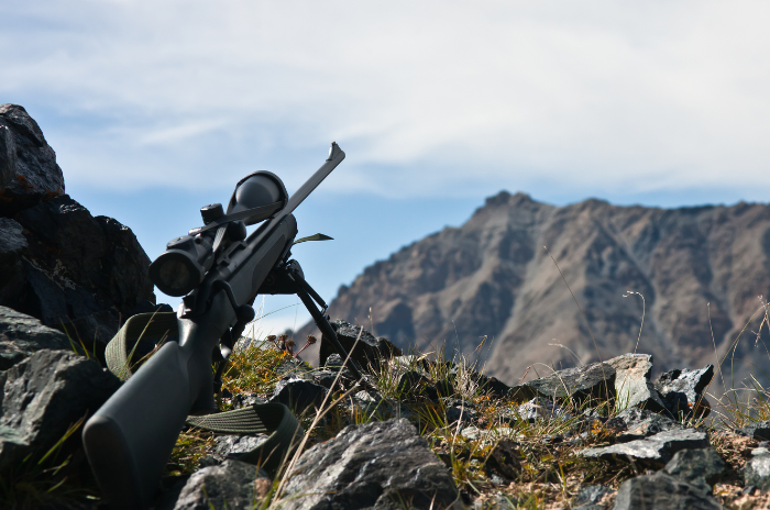 Mejorar tu Precisión con apoyo en monte